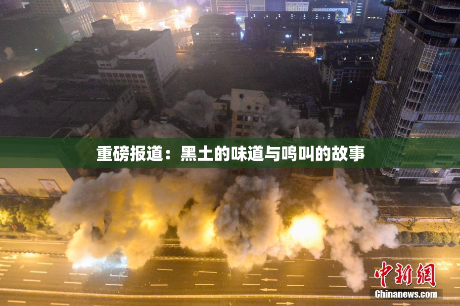 重磅报道：黑土的味道与鸣叫的故事