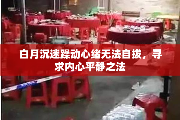 白月沉迷躁动心绪无法自拔，寻求内心平静之法
