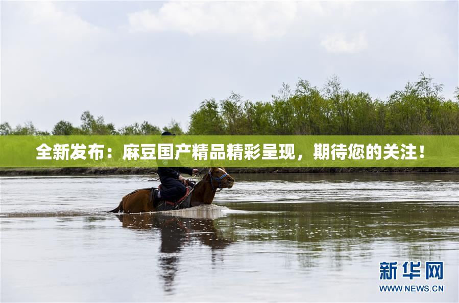 全新发布：麻豆国产精品精彩呈现，期待您的关注！