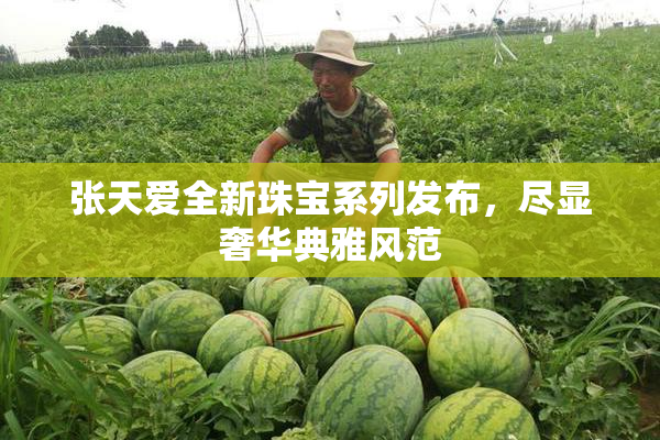 张天爱全新珠宝系列发布，尽显奢华典雅风范