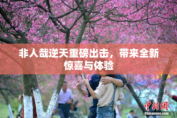 非人哉逆天重磅出击，带来全新惊喜与体验