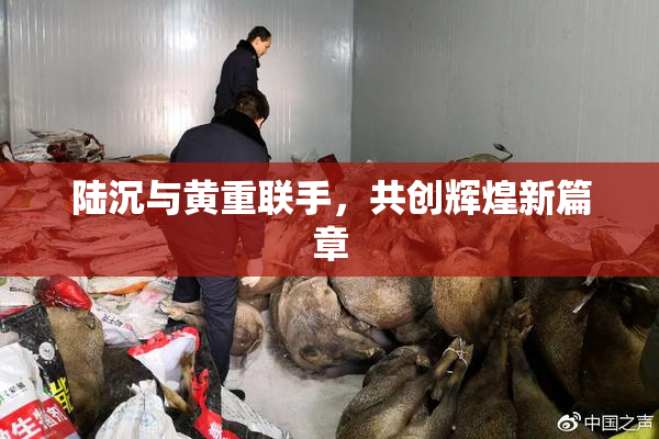陆沉与黄重联手，共创辉煌新篇章