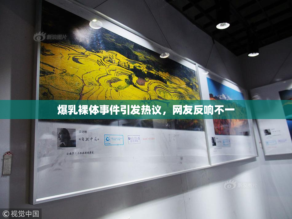 爆乳裸体事件引发热议，网友反响不一