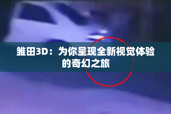 雏田3D：为你呈现全新视觉体验的奇幻之旅