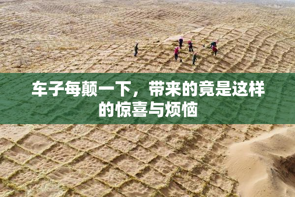 车子每颠一下，带来的竟是这样的惊喜与烦恼