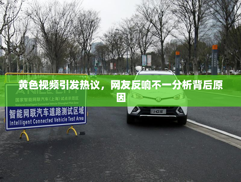 黄色视频引发热议，网友反响不一分析背后原因