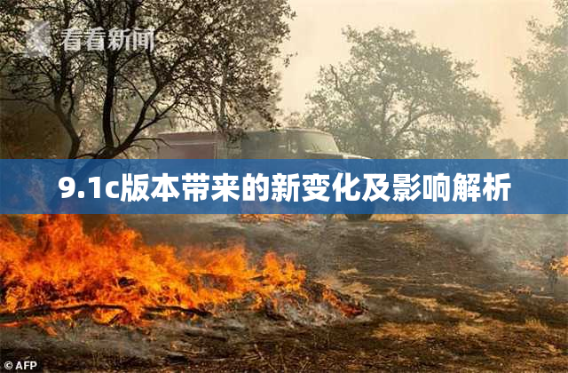 9.1c版本带来的新变化及影响解析