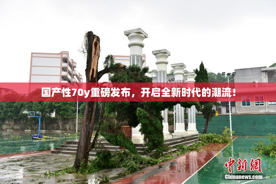 国产性70y重磅发布，开启全新时代的潮流！