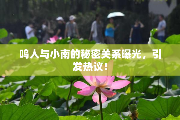 鸣人与小南的秘密关系曝光，引发热议！