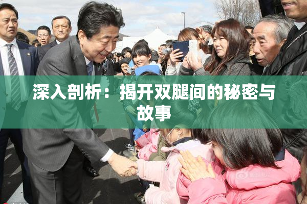 深入剖析：揭开双腿间的秘密与故事