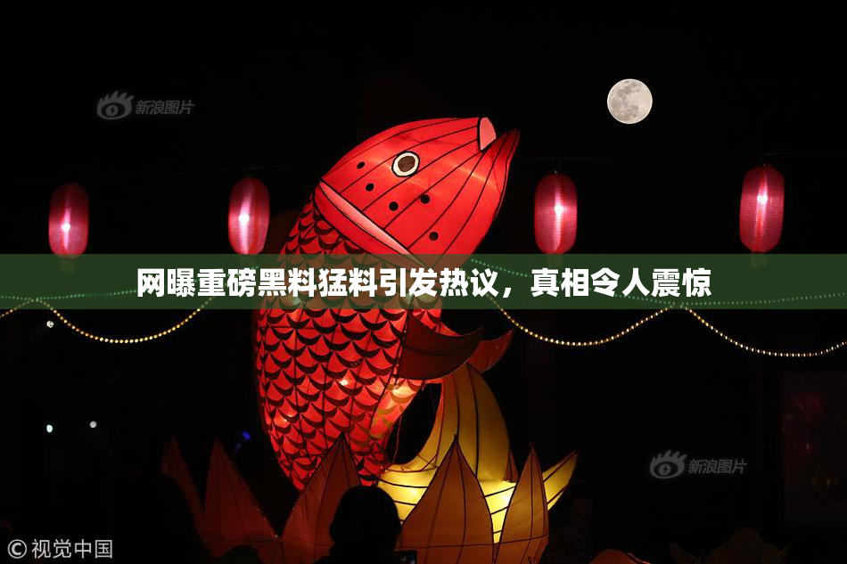 网曝重磅黑料猛料引发热议，真相令人震惊