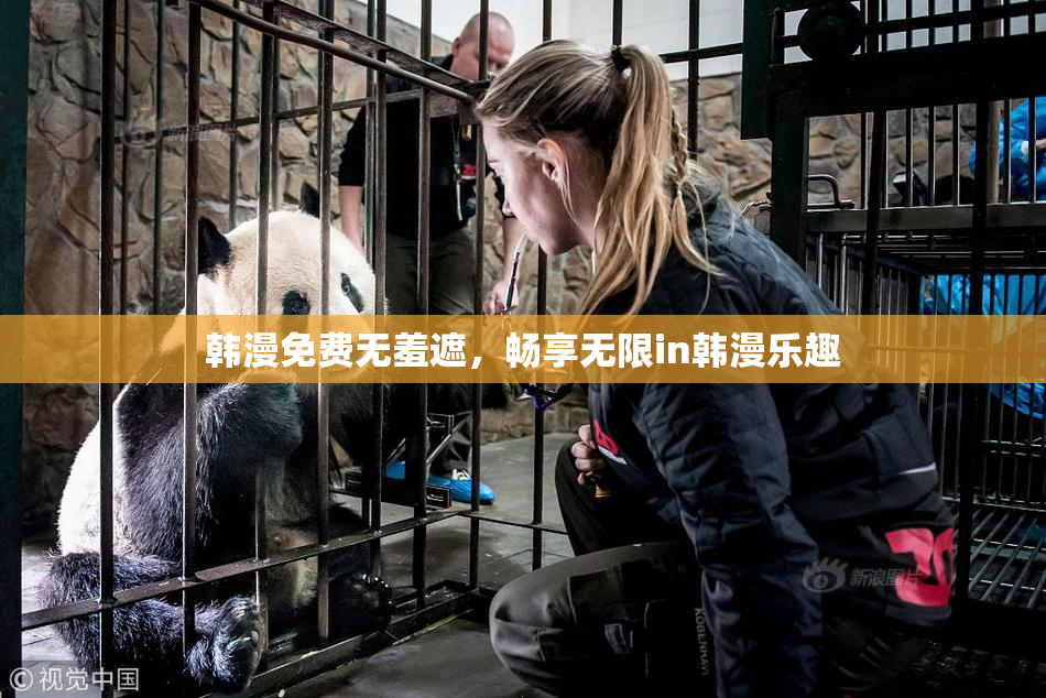 韩漫免费无羞遮，畅享无限in韩漫乐趣