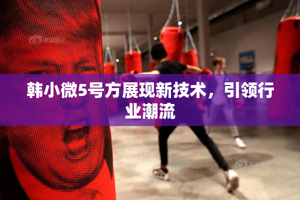 韩小微5号方展现新技术，引领行业潮流