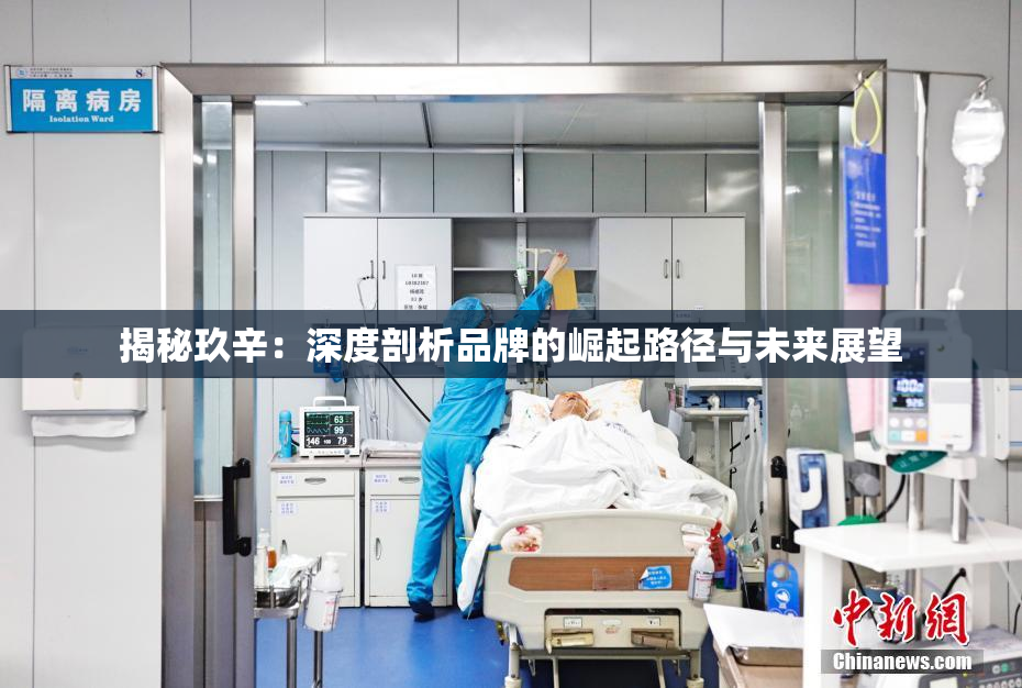 揭秘玖辛：深度剖析品牌的崛起路径与未来展望