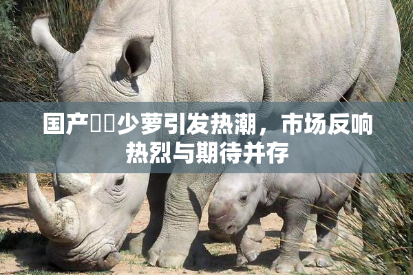 国产❌‌少萝引发热潮，市场反响热烈与期待并存