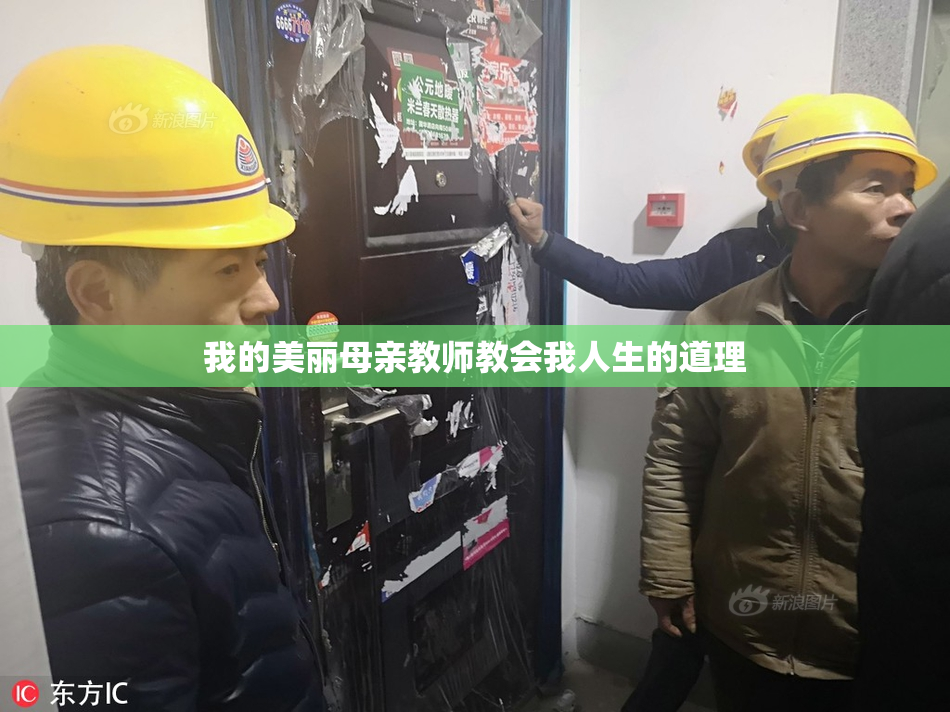 我的美丽母亲教师教会我人生的道理