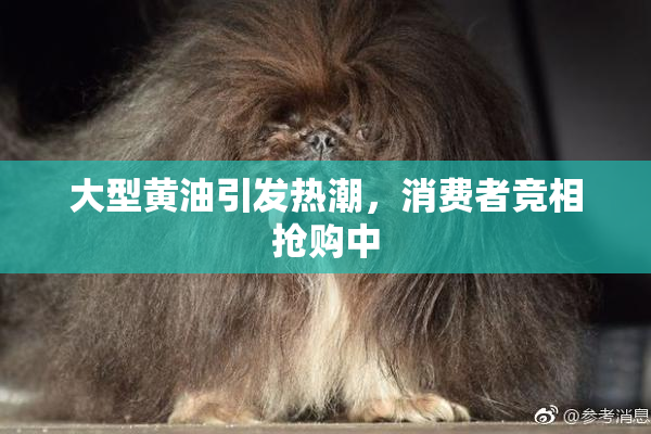 大型黄油引发热潮，消费者竞相抢购中