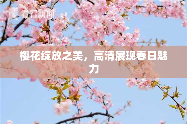 樱花绽放之美，高清展现春日魅力