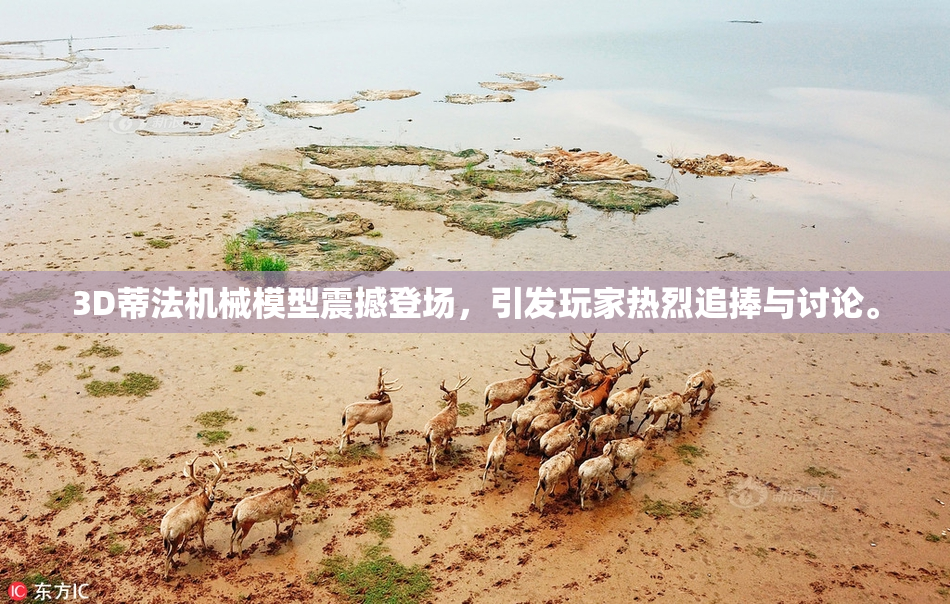 3D蒂法机械模型震撼登场，引发玩家热烈追捧与讨论。