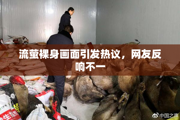 流萤裸身画面引发热议，网友反响不一