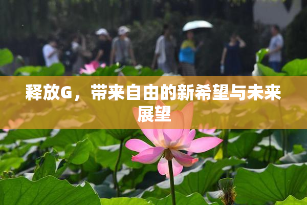 释放G，带来自由的新希望与未来展望