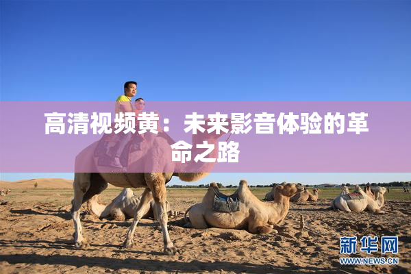 高清视频黄：未来影音体验的革命之路