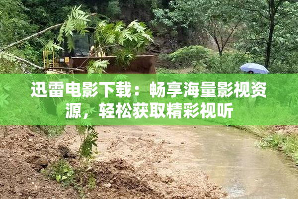 迅雷电影下载：畅享海量影视资源，轻松获取精彩视听