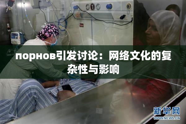 порнов引发讨论：网络文化的复杂性与影响