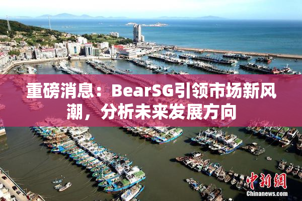 重磅消息：BearSG引领市场新风潮，分析未来发展方向
