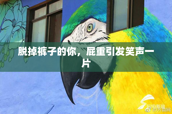 脱掉裤子的你，屁重引发笑声一片