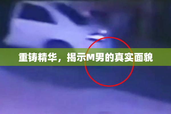重铸精华，揭示M男的真实面貌