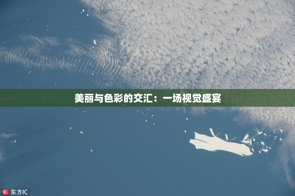 美丽与色彩的交汇：一场视觉盛宴