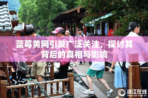 蓝莓黄网引发广泛关注，探讨其背后的真相与影响