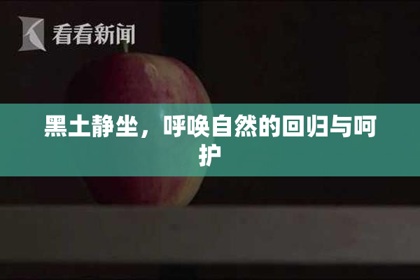 黑土静坐，呼唤自然的回归与呵护