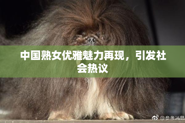中国熟女优雅魅力再现，引发社会热议