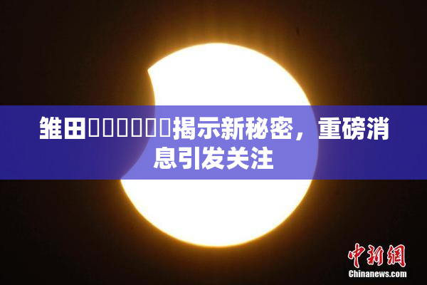 雏田❌‌❌‌❌‌揭示新秘密，重磅消息引发关注