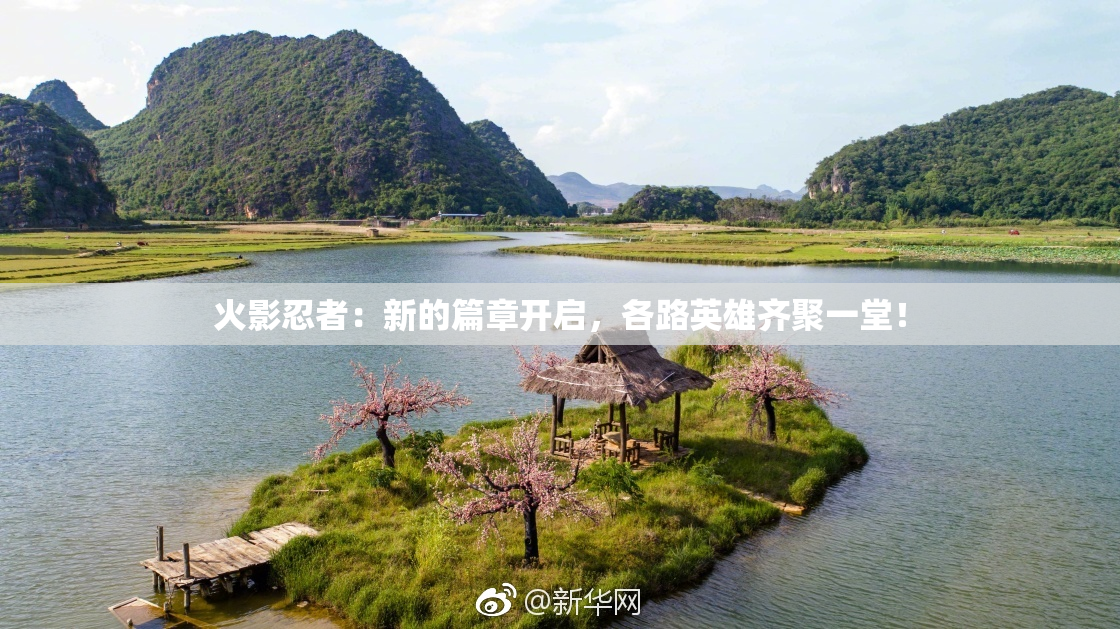 火影忍者：新的篇章开启，各路英雄齐聚一堂！