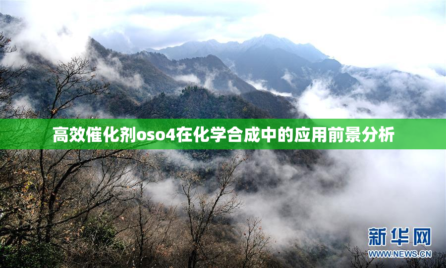 高效催化剂oso4在化学合成中的应用前景分析