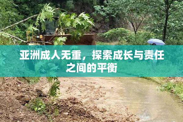 亚洲成人无重，探索成长与责任之间的平衡