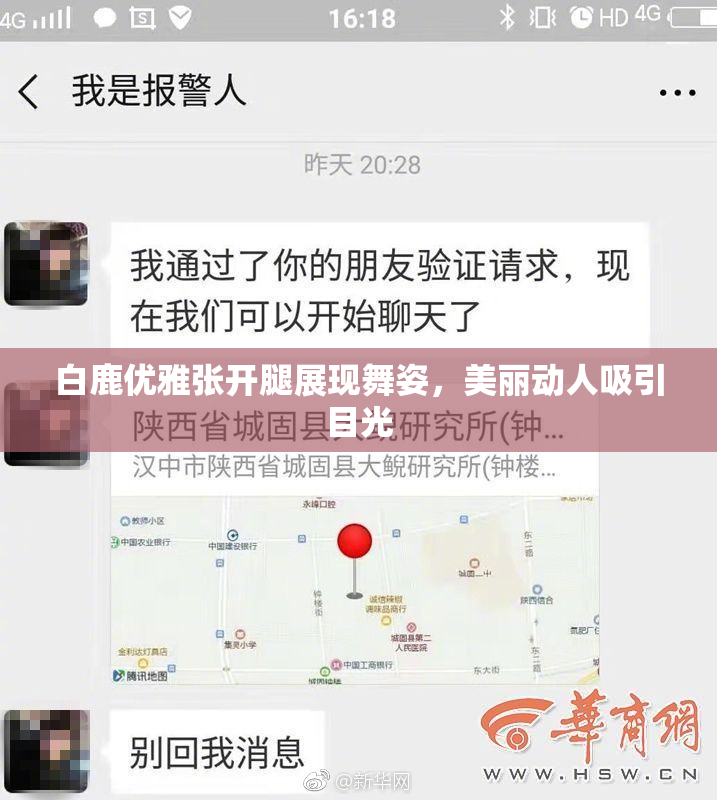 白鹿优雅张开腿展现舞姿，美丽动人吸引目光