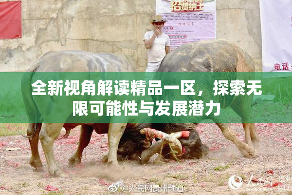 全新视角解读精品一区，探索无限可能性与发展潜力