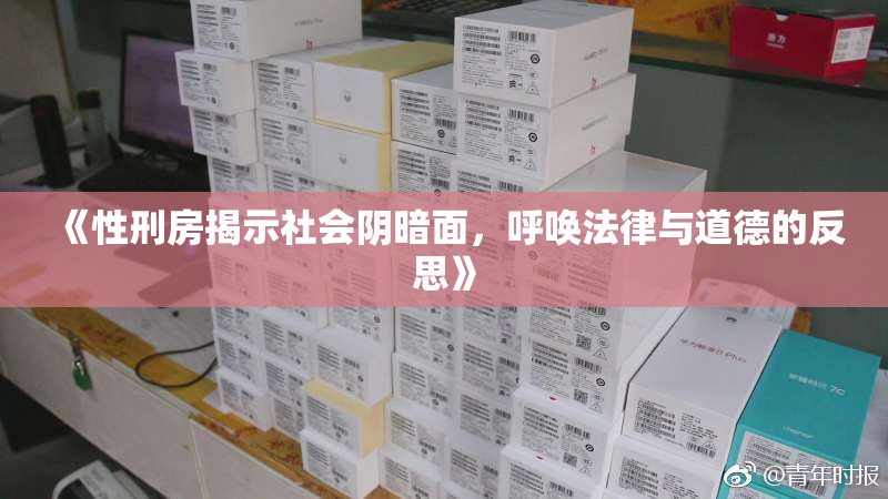 《性刑房揭示社会阴暗面，呼唤法律与道德的反思》