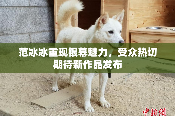 范冰冰重现银幕魅力，受众热切期待新作品发布