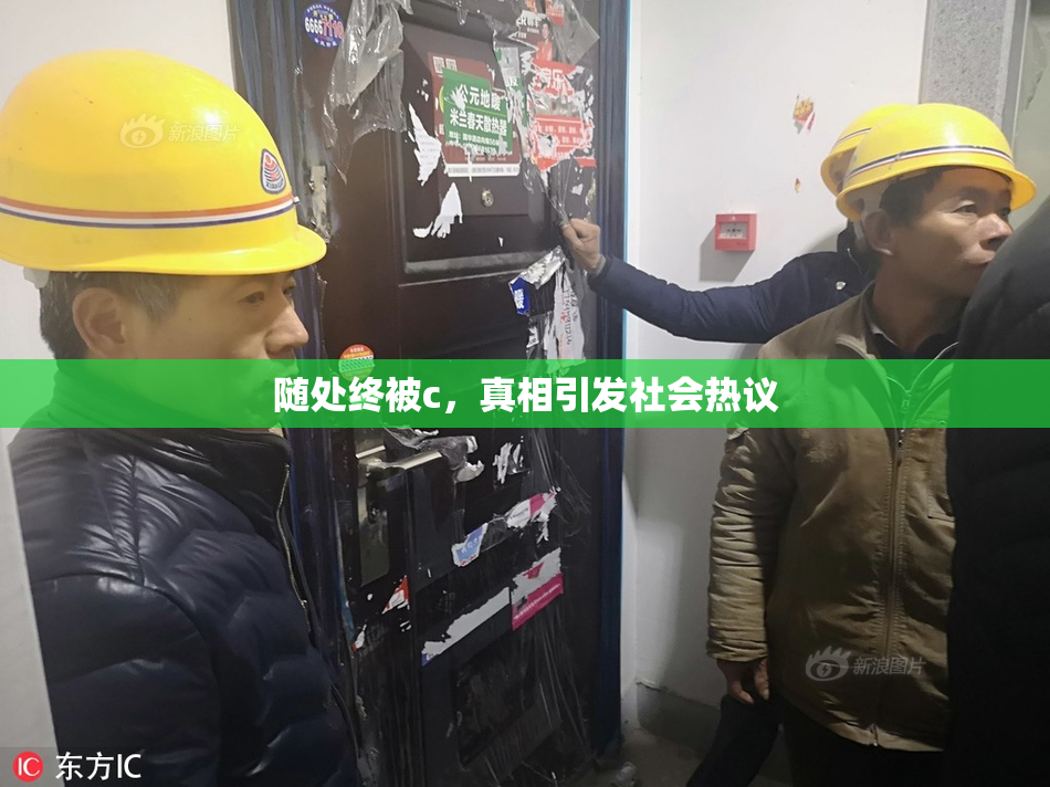 随处终被c，真相引发社会热议