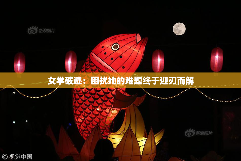 女学破迹：困扰她的难题终于迎刃而解