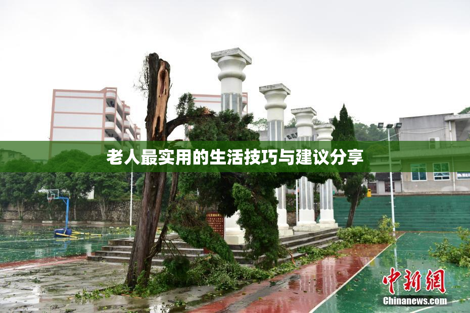 老人最实用的生活技巧与建议分享