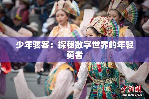 少年骇客：探秘数字世界的年轻勇者