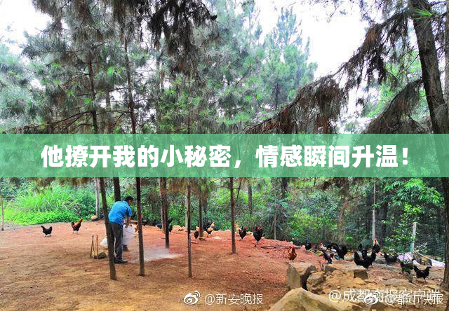 他撩开我的小秘密，情感瞬间升温！