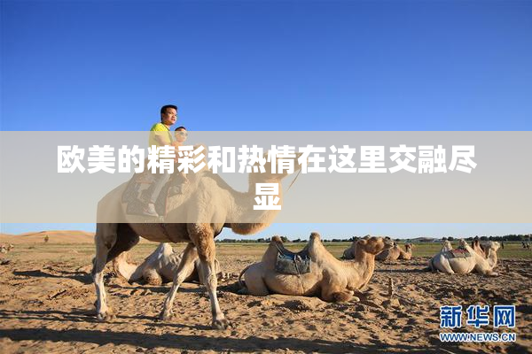 欧美的精彩和热情在这里交融尽显