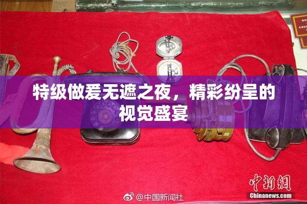 特级做爰无遮之夜，精彩纷呈的视觉盛宴